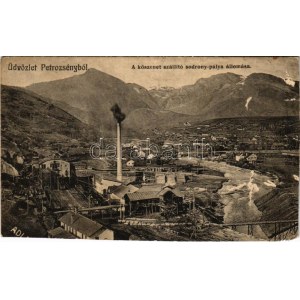 1910 Petrozsény, Petrosani; A kőszenet szállító sodronypálya állomása, bánya. Adler fényirda 1909 ...