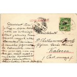 1909 Temesvár, Timisoara; Várrészlet a színházzal, Belváros, kőraktár. Moravetz testvérek kiadása ...