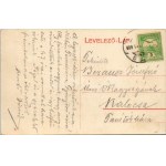 1909 Temesvár, Timisoara; Józsefváros, Ferenc József híd, Arany Horgony Kávéház / Iosefin, bridge...