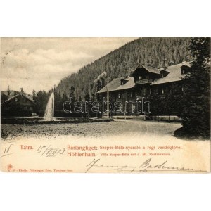 1902 Barlangliget, Höhlenhain, Tatranská Kotlina (Tátra, Magas-Tátra, Vysoké Tatry)...