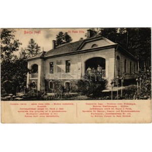 1917 Bártfa, Bártfafürdő, Bardejovské Kúpele, Bardiov, Bardejov; Dr. Patek villa / villa (EB)