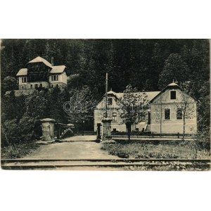 1920 Fenyőháza, Lubochna; Hotel Bratislava, Brunner Villa, vasúti sín / villa and railway track (Rb...