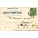 1909 Abbazia, Opatija; Villa Ayrem und Austria. Szecessziós dombornyomott litho montázs bélyegekkel és címerrel ...