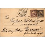 1902 Versec, Vrsac; Sétatér, piac, Lövenstein & Győri, Brüder Walke, Wassermann és Svetozer üzlete, lóvasút / Corso ...