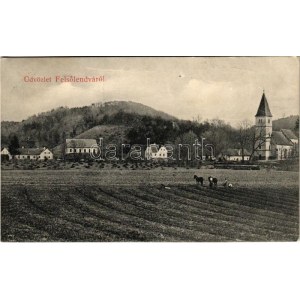 1910 Felsőlendva, Gornja Lendava, Grad; (fl)