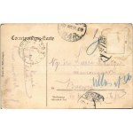 1907 Bad Vöslau, Florahof (Rb)
