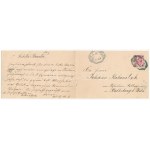 190 Gmünd. Verlag J. Koppensteiner Art Nouveau, floral - 2-tiled folding panoramacard