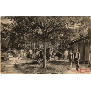 1909 Jaboticabal (Sao Paulo), Jardim Publico / park, garden (small tear)