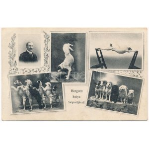 Hergotti kutya csoportjával, cirkuszi mutatvány / Circus acrobat with his dogs. Art Nouveau...