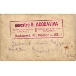 Dari Darinka - erotikus cirkuszi artista. Maestro G. Acquaviva színházi és artista ügynöksége, Budapest, Márton u. 22. ...