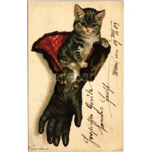 1903 Macska kesztyűben / Cat in gloves. K. & B.D. Serie 911. litho