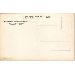Budapest Székesfővárosi Állatkert reklámlapja: fekete párduc / Budapest zoo advertisement art postcard...