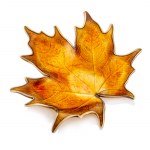 Brooch in the form of a maple leaf, Norway, 2nd half of the 20th century.