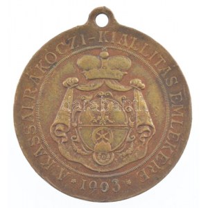 1903. Pro Libertate / A kassai Rákóczi-kiállítás emlékére kétoldalas bronz emlékérem füllel (30mm) T:2,2- patina, ph...