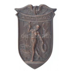 Alföldy János (1902-1966) ~1920-1930. Haladás Vasutas Sport Egyesület egyoldalas bronz plakett (64x41mm) T:1- ...