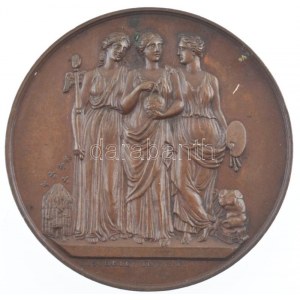 Franciaország / Lyon 1841. Franciaországi Tudományos Konferencia, IX. Ülés, Lyon bronz emlékérem. Szign.: L. Schmitt ...