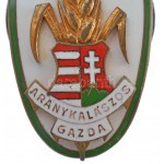 ~1947. Aranykalászos Gazda Tildy-címeres zománcozott bronz jelvény, csavaros hátlap, CEGLÉD 25 gravírozással ...