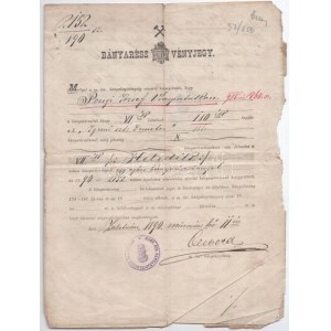 Zalatna 1890. Igreniszti Demeter 181. bányatársulat bányarészvényjegye bélyegzésekkel, belül 1915...