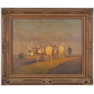 Korpács Lajos (19-20. század): Szántás szürke szarvasmarhákkal. Olaj, falemez. Jelezve balra lent: Korpács Lajos...