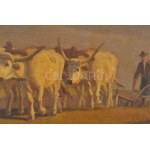 Korpács Lajos (19-20. század): Szántás szürke szarvasmarhákkal. Olaj, falemez. Jelezve balra lent: Korpács Lajos...