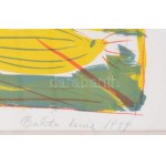 Bukta Imre (1952-): Tájkép, 1989. Ofszet litográfia, papír. Jelzett. Számozott (18/30). 50x72 cm. Fa keretben. ...