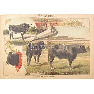 19 db Bikaviadalokat ábrázoló nagy méretű litográfia. - Spanyolország, 1890-es évek...