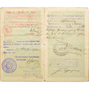 1916-1917 Magyar Királyság fényképes útlevele, lelkész részére, osztrák-magyar és svájci bejegyzésekkel...