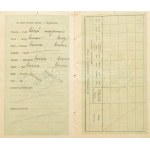1916-1917 Magyar Királyság fényképes útlevele, lelkész részére, osztrák-magyar és svájci bejegyzésekkel...