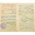 1916-1917 Magyar Királyság fényképes útlevele, lelkész részére, osztrák-magyar és svájci bejegyzésekkel...