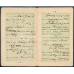 1937 Iráni fényképes tartózkodási engedély (Permis de Séjour) magyar személy (Michel (Mihály) Szilványi részére)...