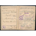 1939 Anna főhercegnő, majd Majláth Mihályné DKW luxus gépjármű forgalmi engedélye...