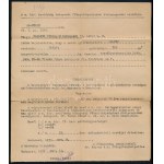 1939 Anna főhercegnő, majd Majláth Mihályné DKW luxus gépjármű forgalmi engedélye...