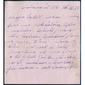 1906 gróf Csáky Albinné Bolza Anna (1847-?), gróf Csáky Albin (1841-1912), vallás- és közoktatásügyi miniszter...