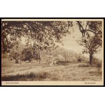 cca 1920 Balatonfűzfő fürdőtelep leporelló / képes album, 20 db képpel, 9×13,5 cm