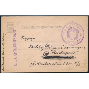 1915 Tábori posta levelezőlap / Field postcard K.u.k. SPITALSCHIFF No.3.