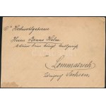 1900 Levél 20f bérmentesítéssel 8 db Turul bélyegen - Cover with 8 stamps SZÉKESFEHÉRVÁR ...