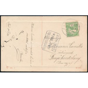 1910 Képeslap FENYŐKOSZTOLÁNY postaügynökségi bélyegzéssel ...