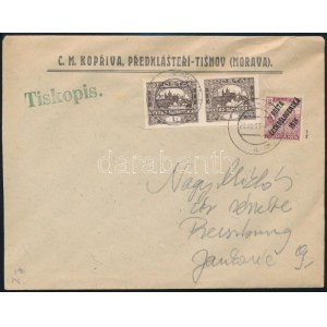Posta Ceskoslovenska 1919 Levél vegyes bérmentesítéssel Pressburgba / Cover with mixed franking to Pressburg. Signed...