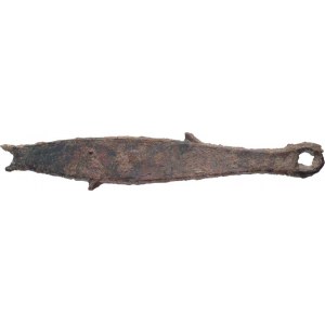 Čína - dynastie Čou, 12.-3. století př.Kr., Peníz ryba, podobný jako K.3/3, bronz 98x16 mm,
