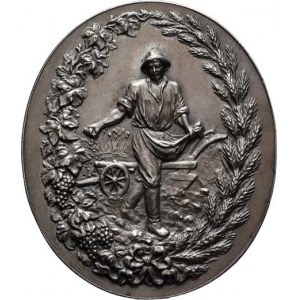 František Josef I., 1848 - 1916, Jauner - AR oválná premijní medaile zemědělská b.l. -