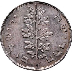 Církevní medaile - ostatní - nesignované, Stříbrná napodobenina šekelu I.židovského povstání