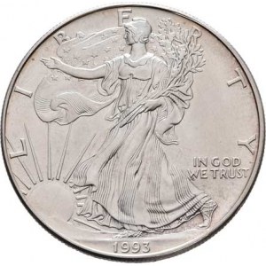 USA, Dolar 1993, KM.273 (Ag999, 1 unce), 31.431g