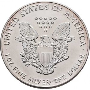 USA, Dolar 1993, KM.273 (Ag999, 1 unce), 31.431g