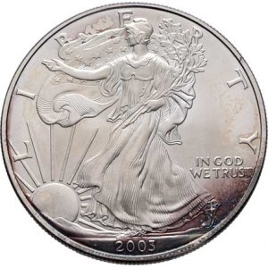 USA, Dolar 2003, KM.273 (Ag999, 1 unce), 31.180g, skvrna,