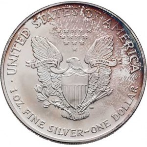 USA, Dolar 2003, KM.273 (Ag999, 1 unce), 31.180g, skvrna,
