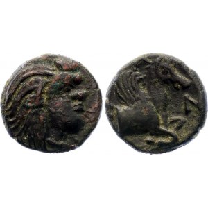 Ancient Greece Pantikapaion Dihalk 340 - 325 BC