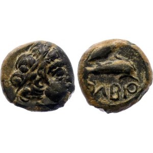 Ancient Greece Olbia Halk 325 - 300 BC