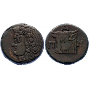 Ancient Greece Pantikapaion Tetrahalk 325 - 310 BC