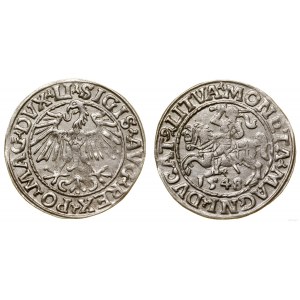 Polen, litauischer Halbpfennig, 1548, Vilnius