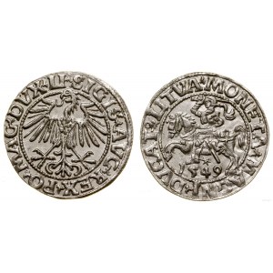 Polen, halber Pfennig, 1549, Vilnius
